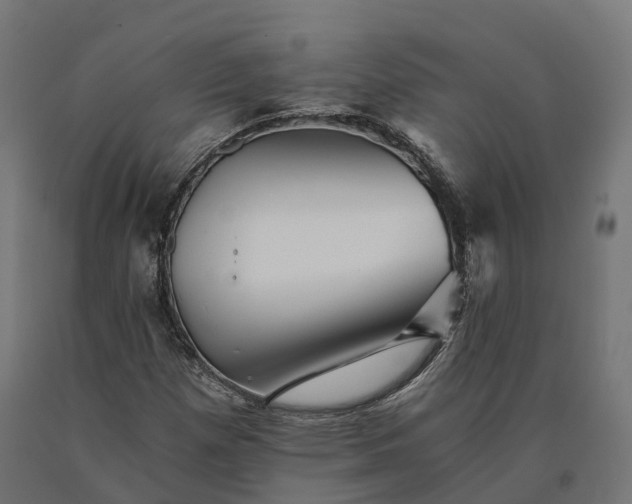 X0000090781257200708031707