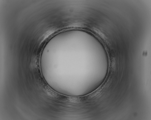 X0000090781258200708031707