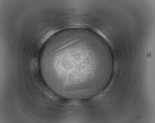 X0000090781259200708031707