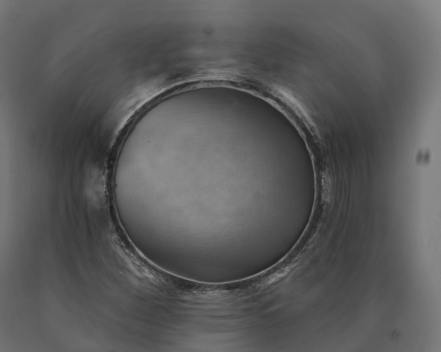 X0000090781260200708031707