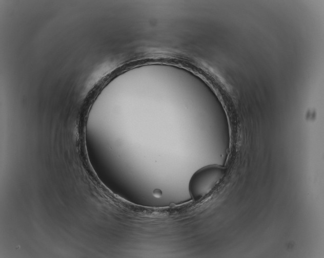 X0000090781261200708031707