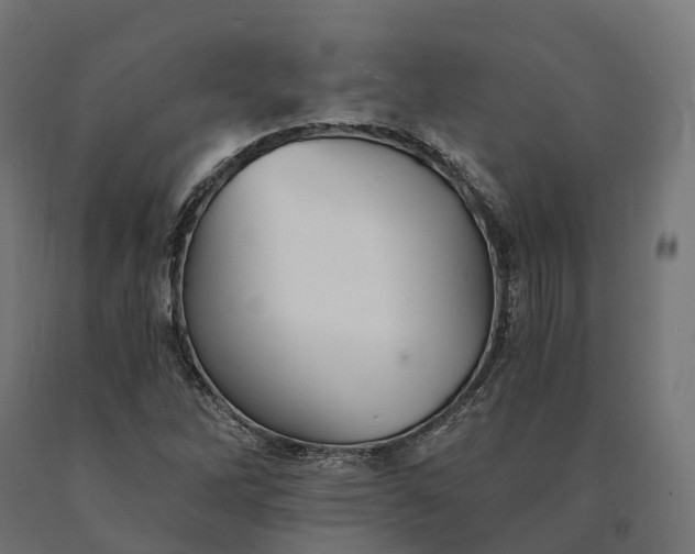 X0000090781262200708031707