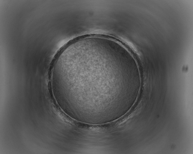 X0000090781264200708031707