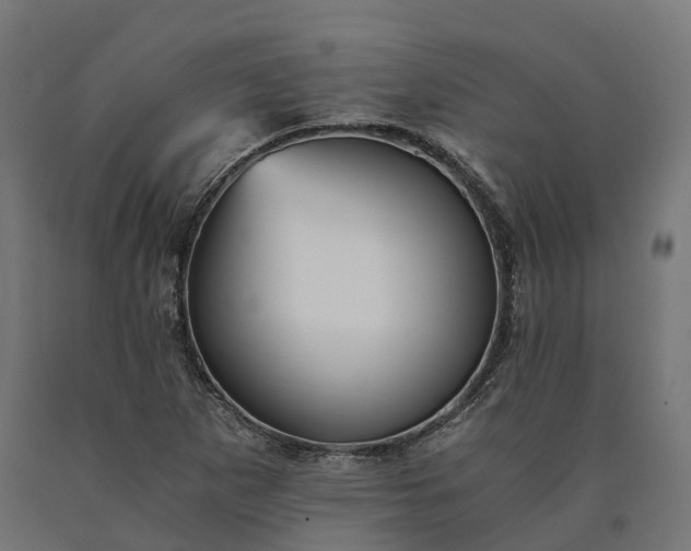X0000090781265200708031707