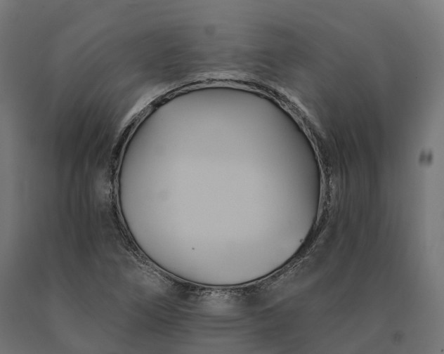 X0000090781266200708031707