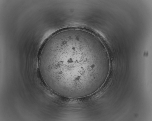 X0000090781267200708031707
