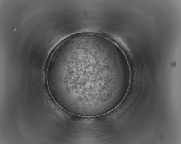 X0000090781268200708031707
