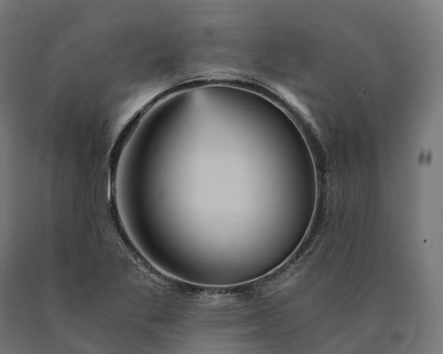 X0000090781269200708031707