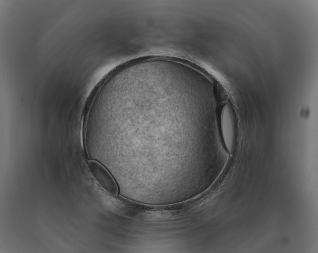 X0000090781272200708031707