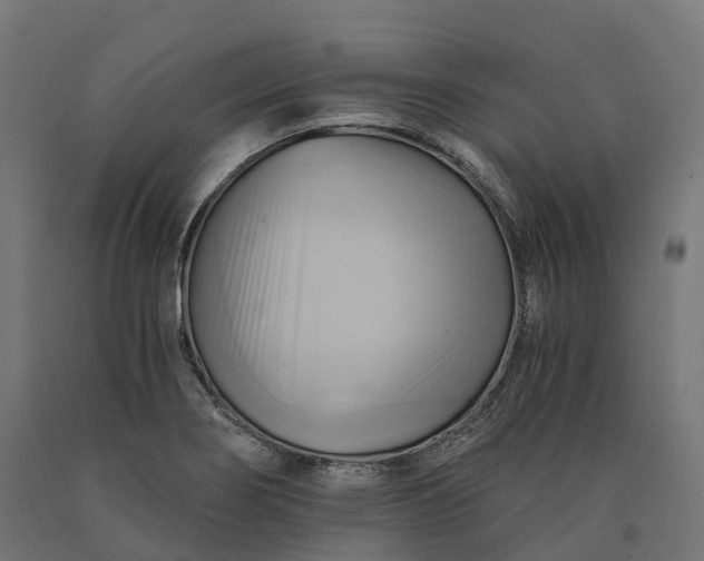 X0000090781274200708031707