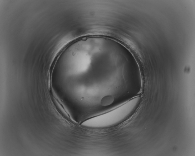 X0000090781275200708031707