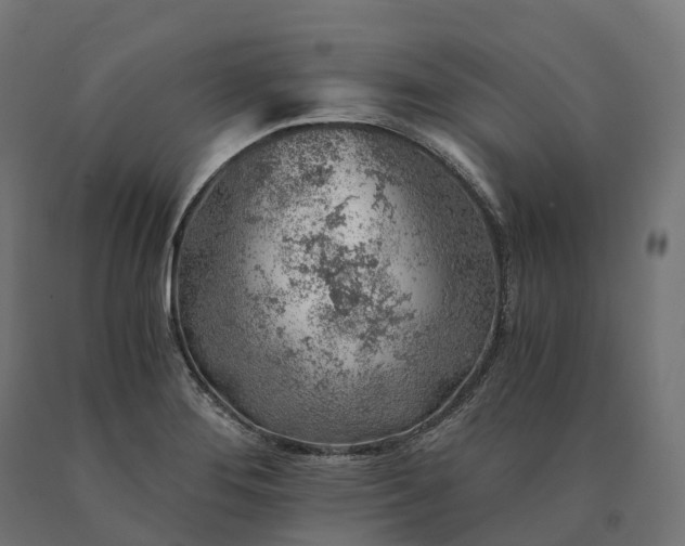 X0000090781276200708031707