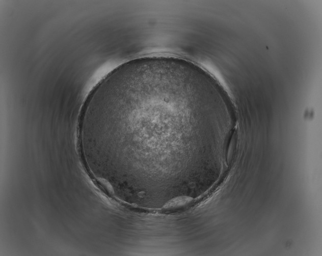 X0000090781277200708031707
