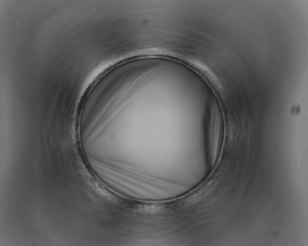 X0000090781278200708031707
