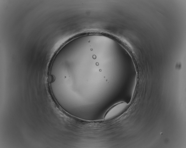 X0000090781279200708031707