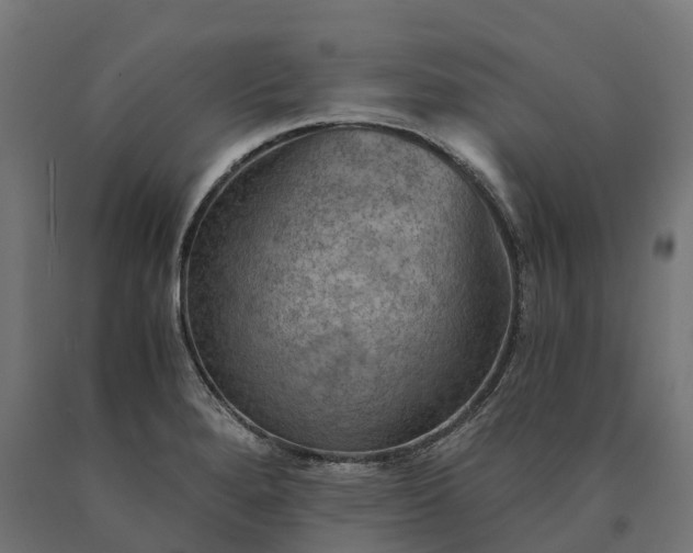X0000090781280200708031707