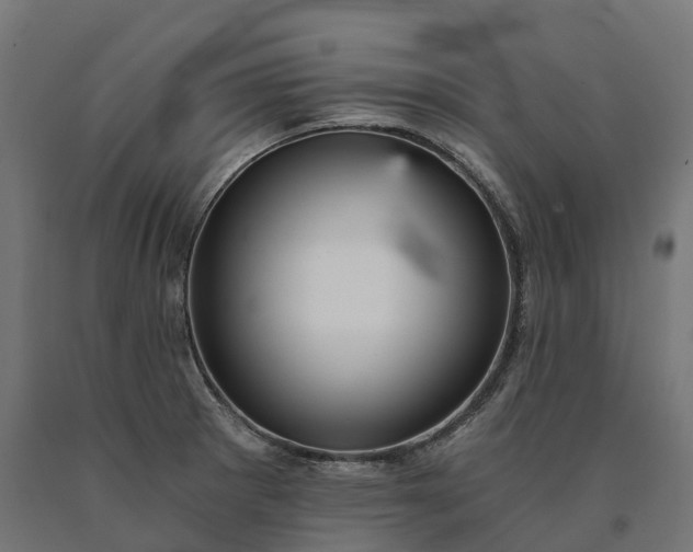 X0000090781281200708031707