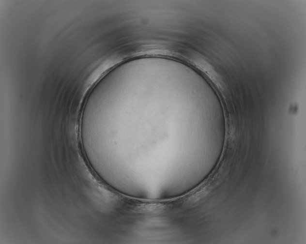 X0000090781282200708031707