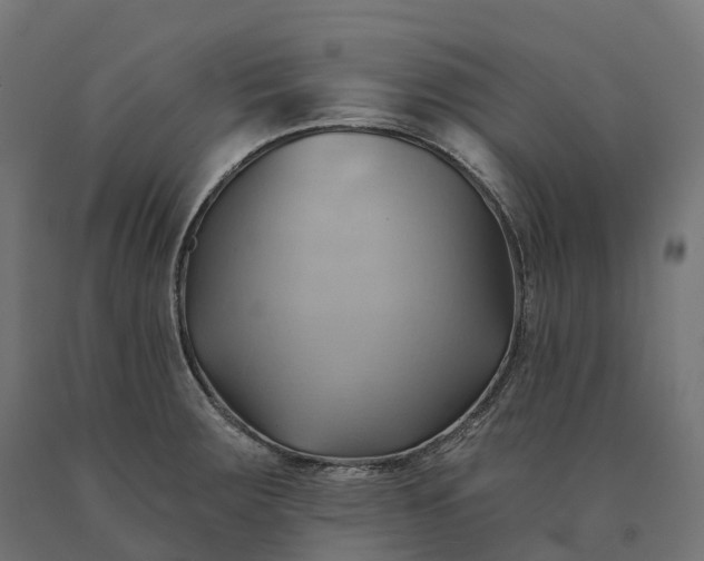 X0000090781283200708031707