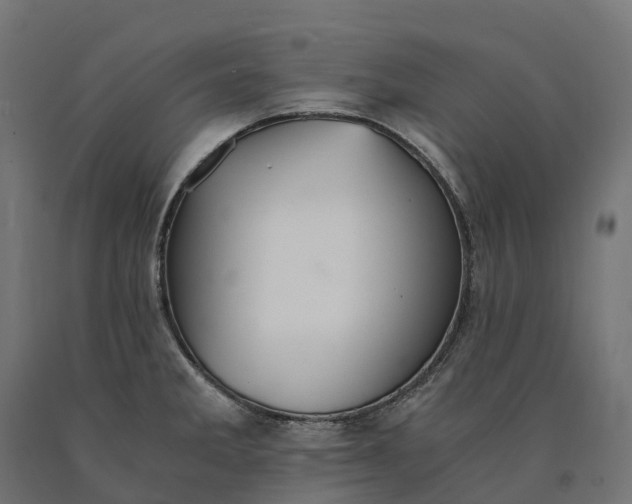 X0000090781285200708031707