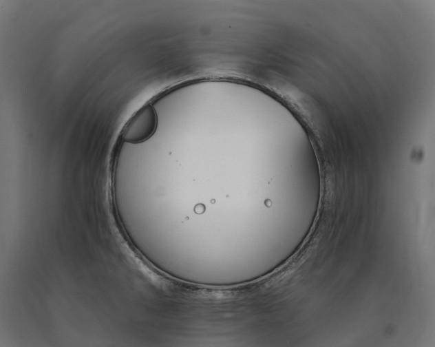 X0000090781286200708031707