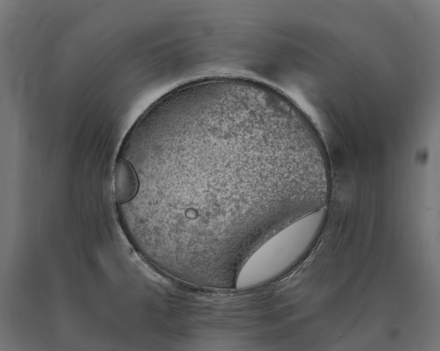 X0000090781287200708031707