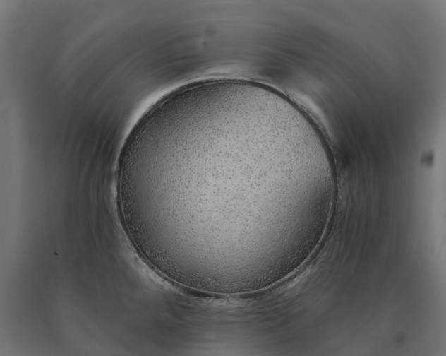 X0000090781288200708031707