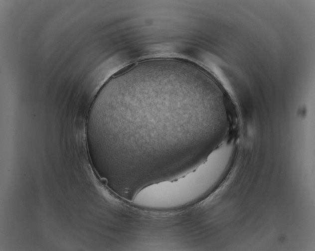 X0000090781289200708031707