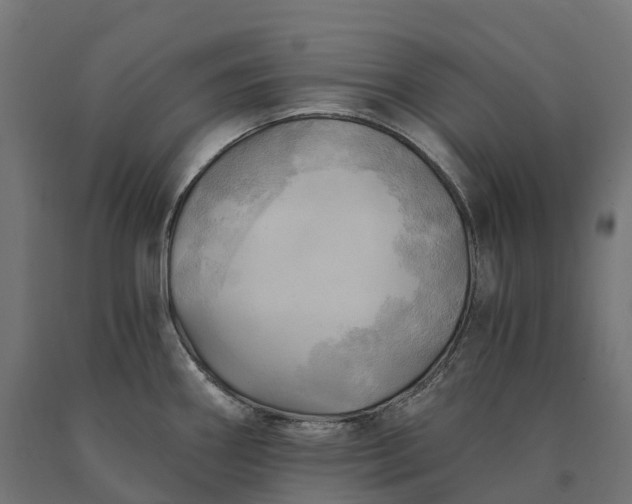 X0000090781290200708031707