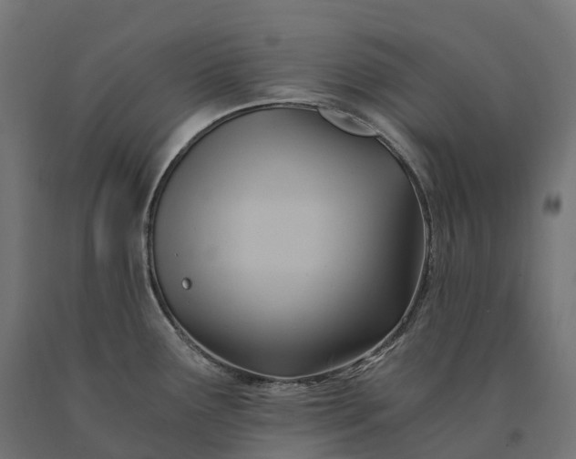 X0000090781291200708031706