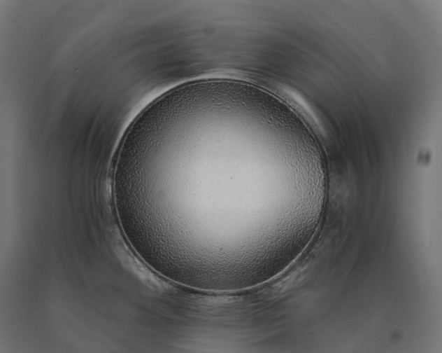X0000090781292200708031706