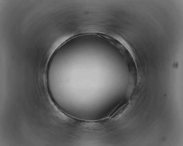 X0000090781293200708031706