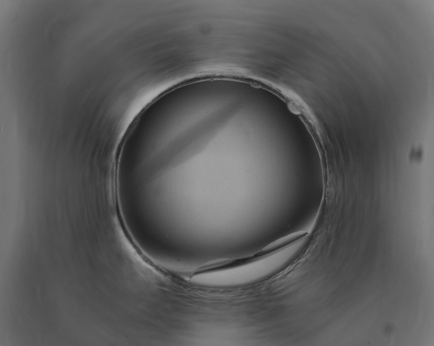 X0000090781295200708031706