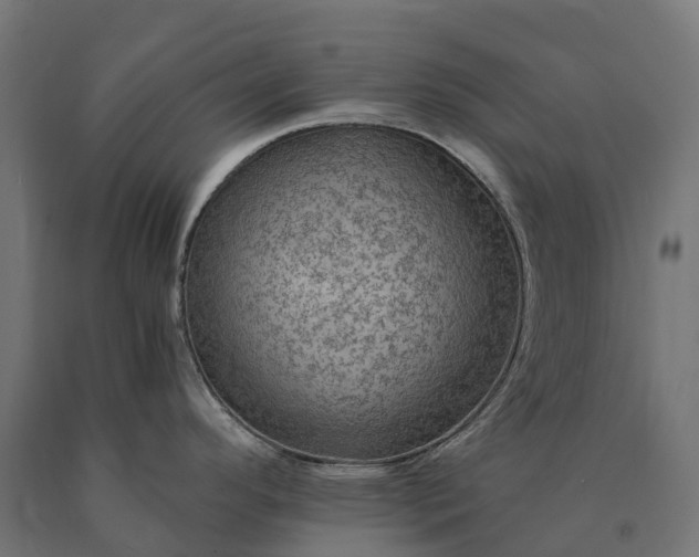 X0000090781296200708031706