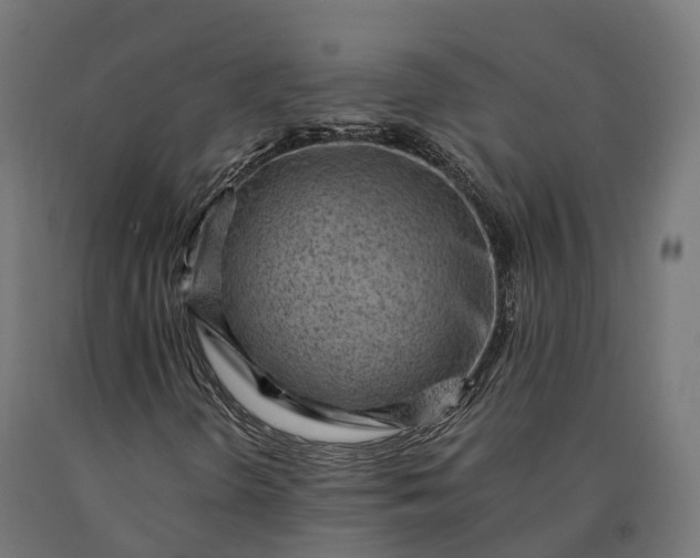X0000090781298200708031706