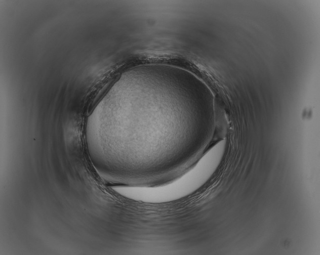 X0000090781300200708031706