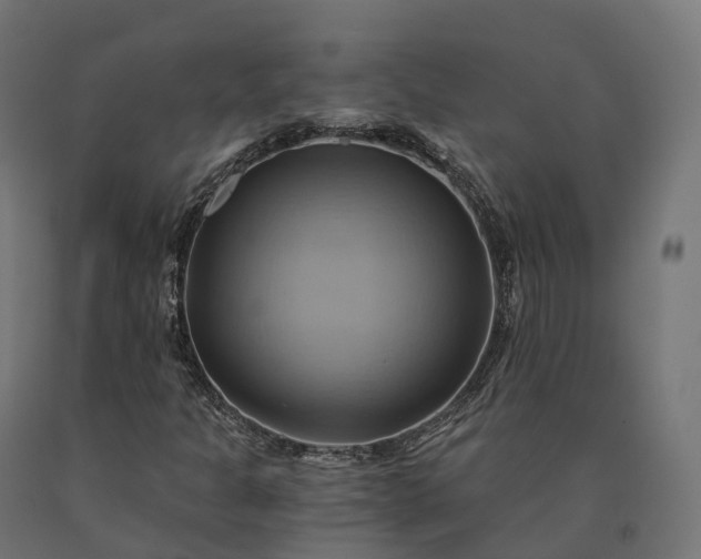 X0000090781301200708031706