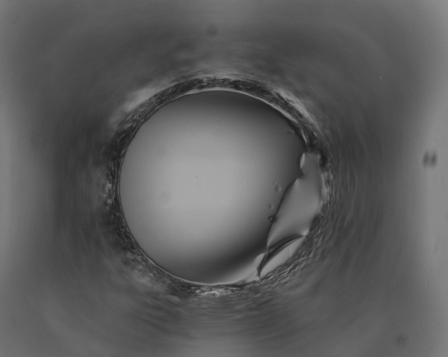 X0000090781303200708031706