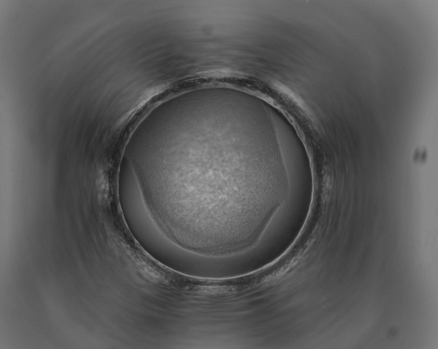 X0000090781305200708031706