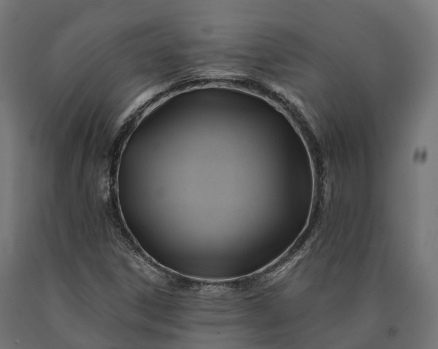 X0000090781306200708031706