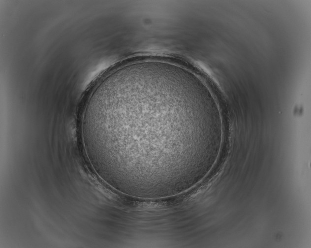 X0000090781307200708031706
