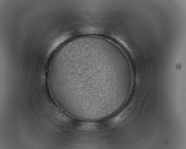 X0000090781309200708031706