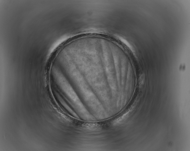 X0000090781310200708031706