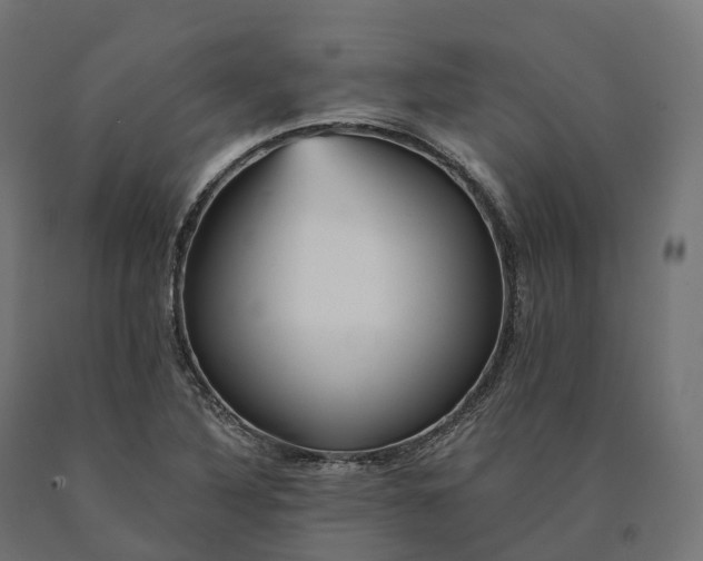 X0000090781316200708031706
