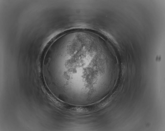 X0000090781318200708031706