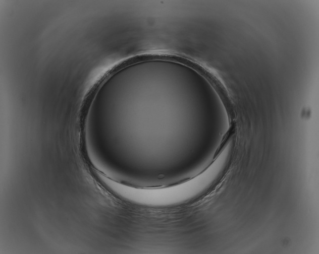 X0000090781319200708031706