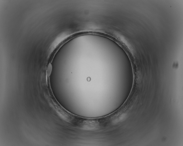 X0000090781320200708031706