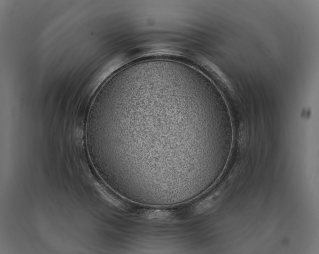 X0000090781321200708031706