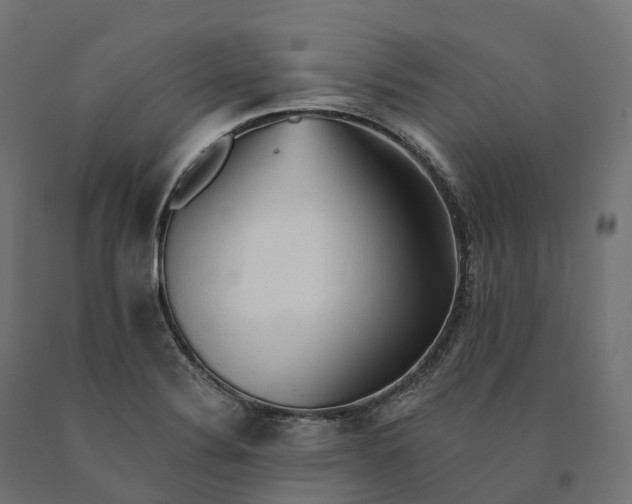 X0000090781324200708031706