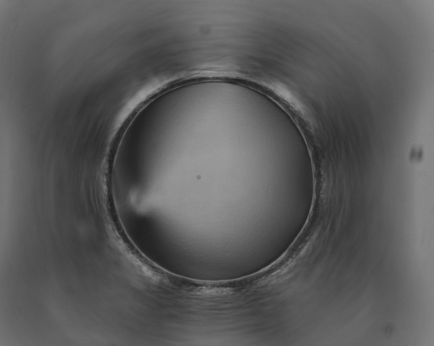 X0000090781325200708031706